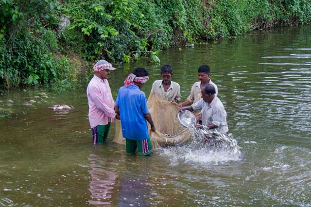 State Fisheries Development Corporation Ltd. (SFDC)